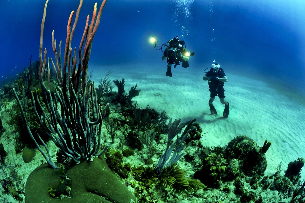 Diving Menorca Carema Hotels